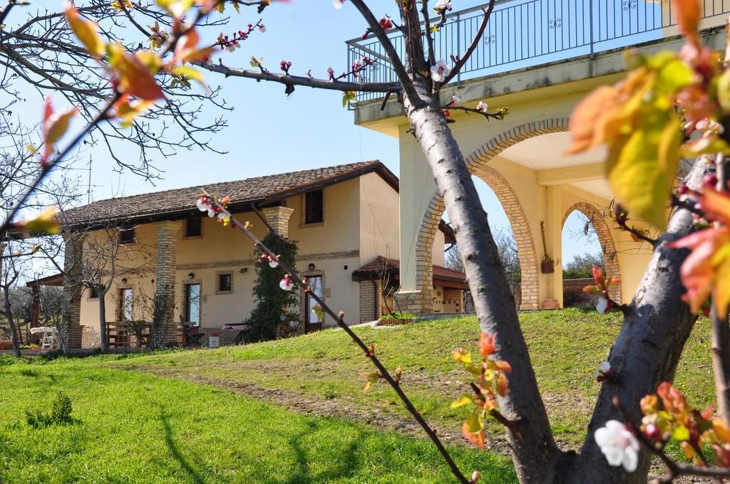 Torre Mannella Hotel Citta Sant'Angelo Exterior photo